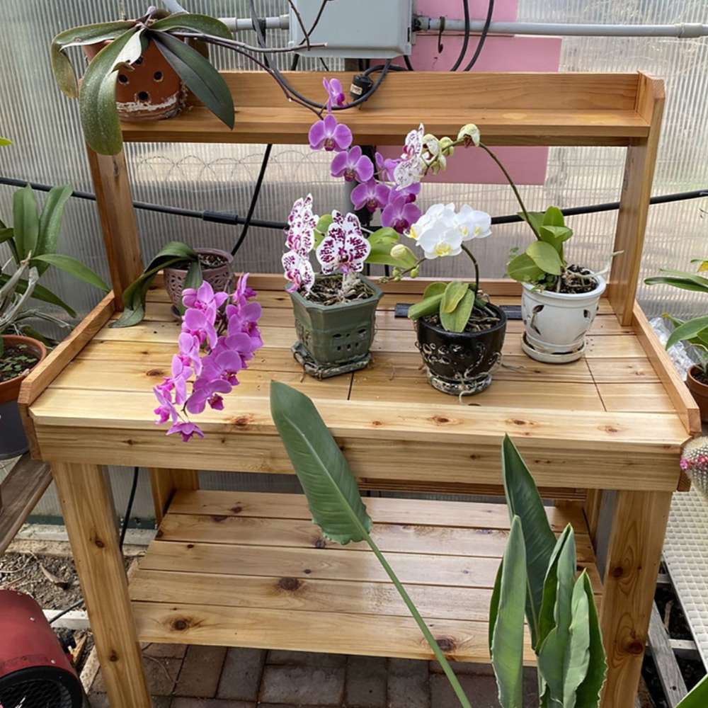 Greenhouse bench holds orchids and plants, with Outdoor Living Today 4×2 Western Red Cedar Potting Bench at the center