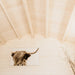 Upward interior view of the Harvest Grand Bungalow’s pale vaulted wooden ceiling with exposed beams and Highland cow artwork.