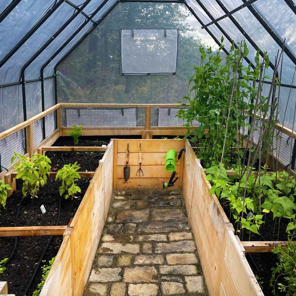 Inside the Outdoor Living Today 8×16 Raised Garden Bed greenhouse, brick paths divide lush garden beds and tools hang neatly on wooden panels