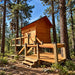 Sunlit Jumbo Grand Loft 130 SD wooden cabin with an elevated deck, stairs and railings among tall pine trees.