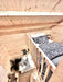 Looking down from the loft in the Sawmill Structures Ontario Grand Loft 107 SD Garden Room, you see the main living area with a couch, rug, and decor below