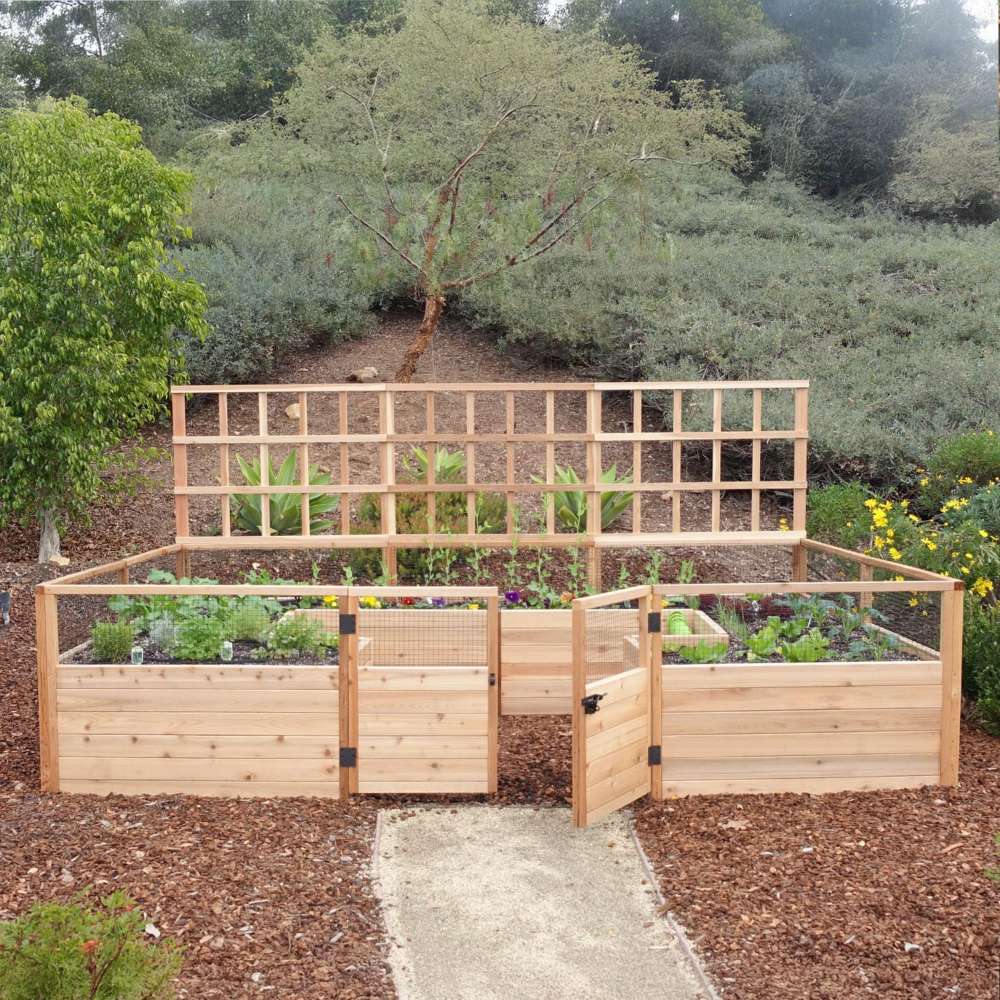 Outdoor Living Today 12ft Raised Garden Bed Climbing Support encloses a garden bed with an open gate and visible irrigation lines, bordered by wooden lattice panels