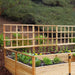 Outdoor Living Today 12ft Raised Garden Bed Climbing Support is seen behind a planted garden bed, where the wooden lattice supports climbing plants