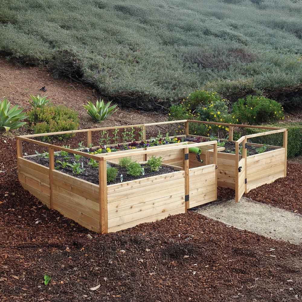 Outdoor Living Today 12×8 Raised Garden Bed is pictured with a gate open, showcasing neatly planted vegetables in a wooden, fenced enclosure