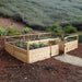Outdoor Living Today 12×8 Raised Garden Bed is pictured with a gate open, showcasing neatly planted vegetables in a wooden, fenced enclosure