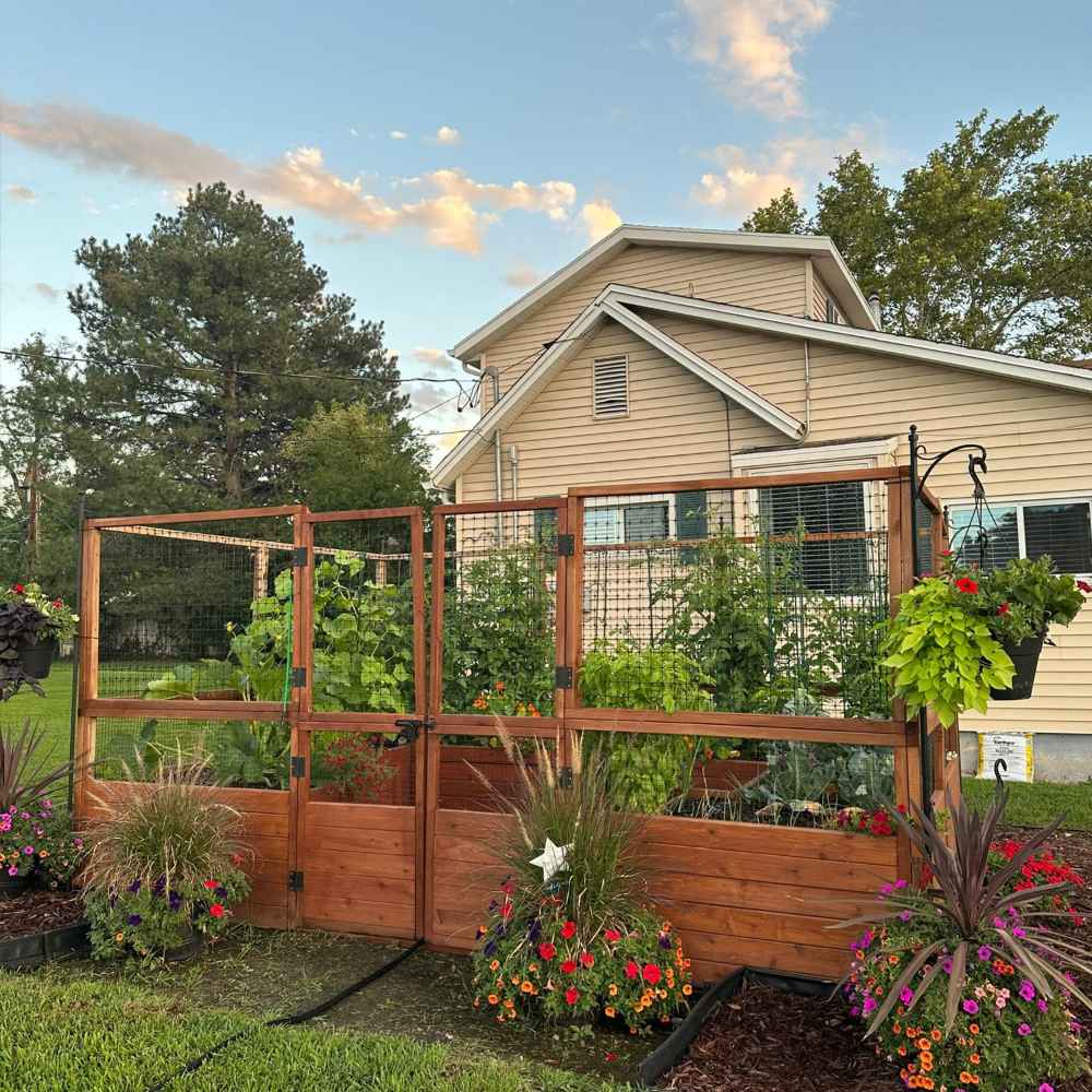 Outdoor Living Today 12×8 Raised Garden Bed stands in front of a house with its gates open and vibrant flowers planted along its border