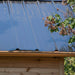 Outdoor Living Today 12×8 Saltbox Studio Outdoor Office is presented in a close-up of ridged roof panels with greenery visible around the structure