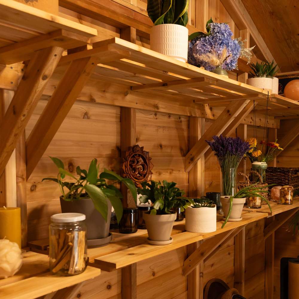 Outdoor Living Today 8ft Western Red Cedar Shed Shelves (Set of 3) are filled with potted plants and jars