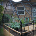 Outdoor Living Today 8×12 Raised Garden Bed is covered with a black mesh greenhouse frame, protecting leafy plants growing inside