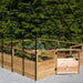 Outdoor Living Today 8×12 Raised Garden Bed is filled with lush vegetables inside a tall black greenhouse frame with an open wooden gate
