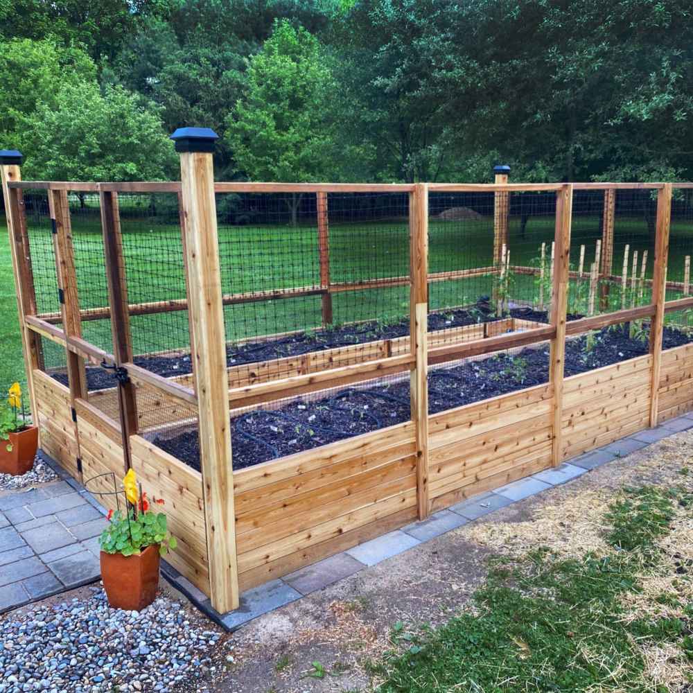 Outdoor Living Today 8×16 Raised Garden Bed features clean, light-toned cedar wood and a wire mesh fence, surrounded by patio pavers and flower pots