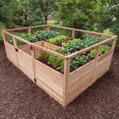 Outdoor Living Today 8×5 Raised Garden Bed made of light wood sits on mulch, enclosed with wire mesh and growing rows of fresh greens