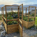 Outdoor Living Today 8×8 Raised Garden Bed has its wooden gate open, revealing lush vegetable beds inside on a gravel path