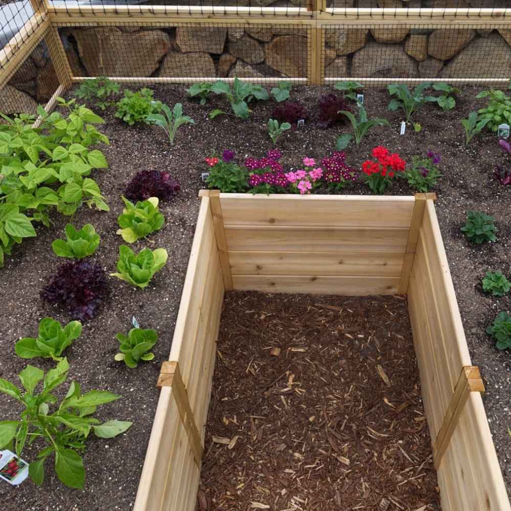 Outdoor Living Today 8×8 Raised Garden Bed is viewed from above, displaying organized rows of leafy greens and colorful flowers around a center walkway