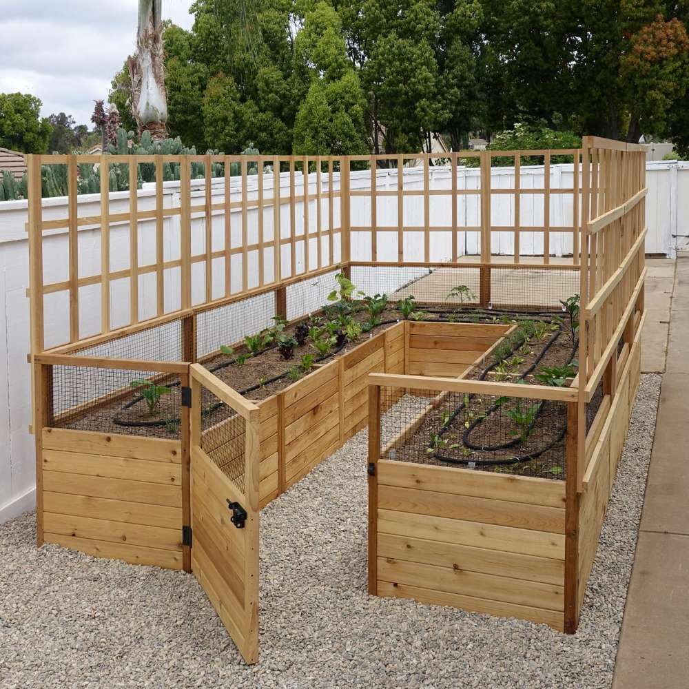 Outdoor Living Today Raised Garden Bed Climbing Support corner garden bed with lattice panels and open gate for easy access