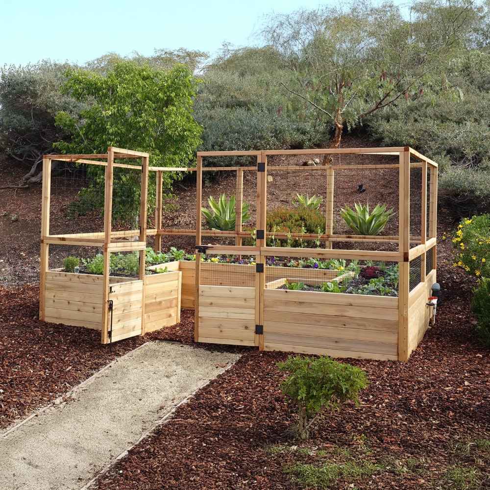 Outdoor Living Today 12×8 Raised Garden Bed displays open gates and mesh fencing, surrounded by green plants and a mulched pathway