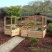 Outdoor Living Today 12×8 Raised Garden Bed displays open gates and mesh fencing, surrounded by green plants and a mulched pathway