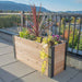 Outdoor Living Today 4×1.5 Urban Raised Garden Bed is displayed on a rooftop filled with colorful flowers and plants