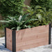 Outdoor Living Today 4×1.5 Urban Raised Garden Bed is filled with lush green foliage and set against a backdrop of evergreen shrubs