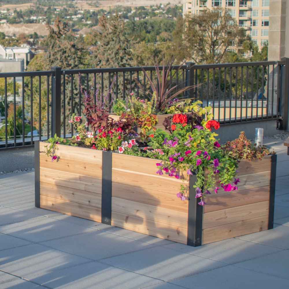 Outdoor Living Today 6×3 Urban Raised Garden Bed displays thriving plants and flowers from a corner view on a rooftop garden