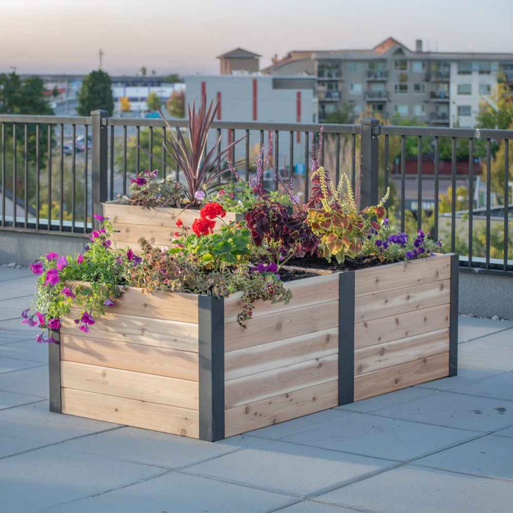 Outdoor Living Today 6×3 Urban Raised Garden Bed is filled with colorful flowers and placed on a sunny rooftop patio with a city view