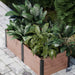 Outdoor Living Today 6×3 Urban Raised Garden Bed is filled with lush green tropical plants and placed on a stone patio near tall shrubs