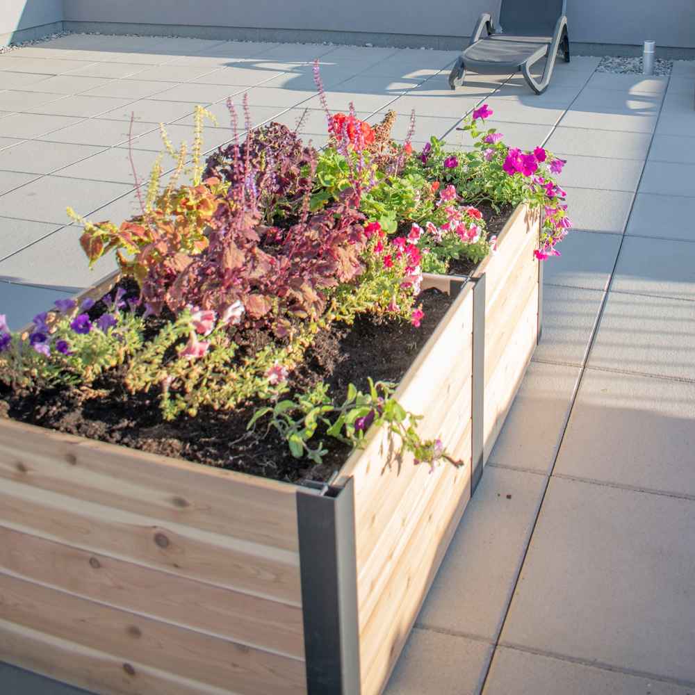 Outdoor Living Today 6×3 Urban Raised Garden Bed is seen from above, showing lush soil and blooming plants under the sun