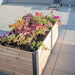 Outdoor Living Today 6×3 Urban Raised Garden Bed is seen from above, showing lush soil and blooming plants under the sun