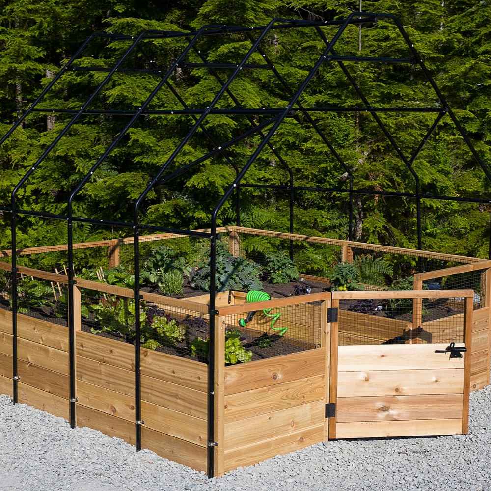 Outdoor Living Today 8×12 Raised Garden Bed is filled with lush vegetables inside a tall black greenhouse frame with an open wooden gate