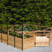 Outdoor Living Today 8×12 Raised Garden Bed is filled with lush vegetables inside a tall black greenhouse frame with an open wooden gate