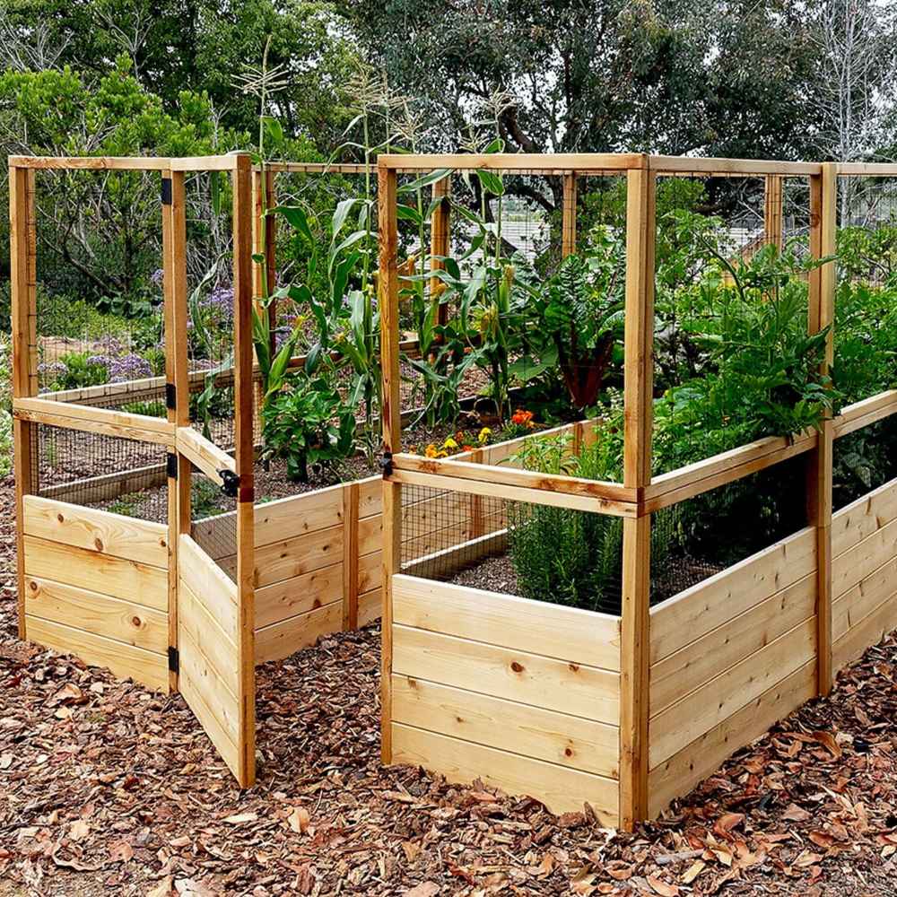 Outdoor Living Today 8×12 Raised Garden Bed is filled with tall vegetables and flowers, enclosed by wooden panels and mesh fencing with an open gate
