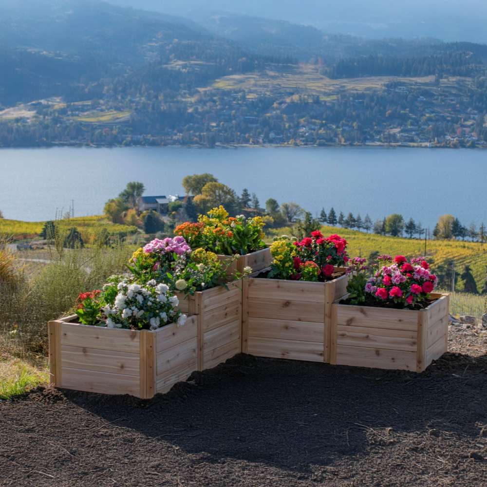 Scenic garden overlooking a lake features the Outdoor Living Today 5.5×2 Tiered Cedar L-Shaped Raised Garden Bed at the center