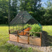 Set on a gravel base, the Outdoor Living Today 8×16 Raised Garden Bed is shown under a large mesh canopy with vibrant plants inside