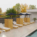 Several Westminster Teak Horizon Chaise Lounger chairs are arranged in a neat row beside a modern pool, each with cushions and shaded by umbrellas and privacy panels