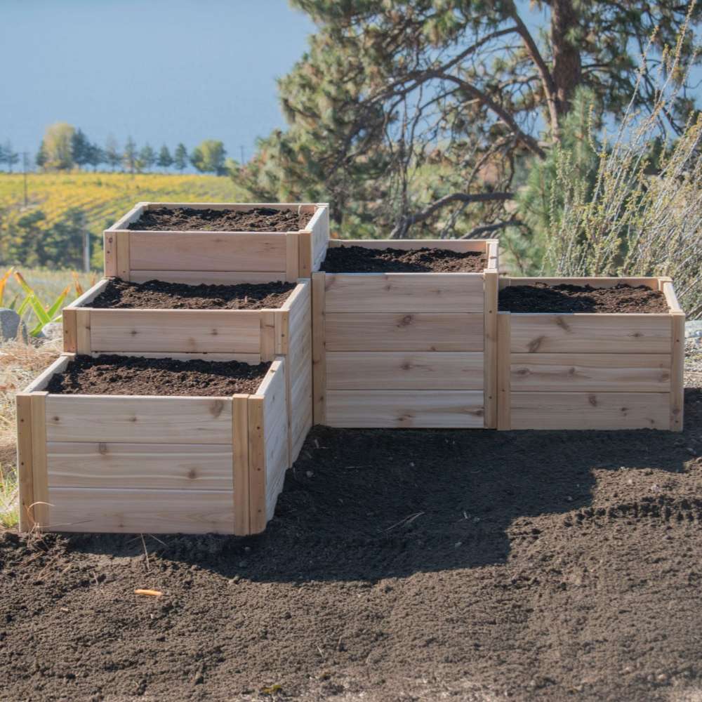 Side view of the stepped cedar planter with soil highlights the Outdoor Living Today 5.5×2 Tiered Cedar L-Shaped Raised Garden Bed at the center