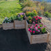Stepped cedar planter filled with colorful flowers highlights the Outdoor Living Today 5.5×2 Tiered Cedar L-Shaped Raised Garden Bed in the middle