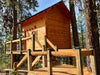 Sunlight shines on the Sawmill Structures The Jumbo Grand Loft 130 SD Garden Room nestled among pine trees