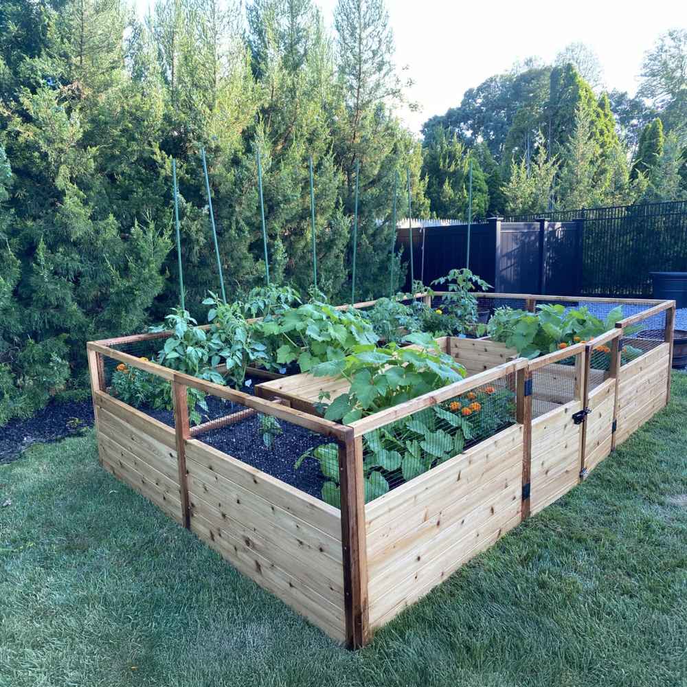 Surrounded by tall trees, the Outdoor Living Today 12×8 Raised Garden Bed is filled with thriving vegetable plants in a spacious backyard