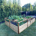 Surrounded by tall trees, the Outdoor Living Today 12×8 Raised Garden Bed is filled with thriving vegetable plants in a spacious backyard