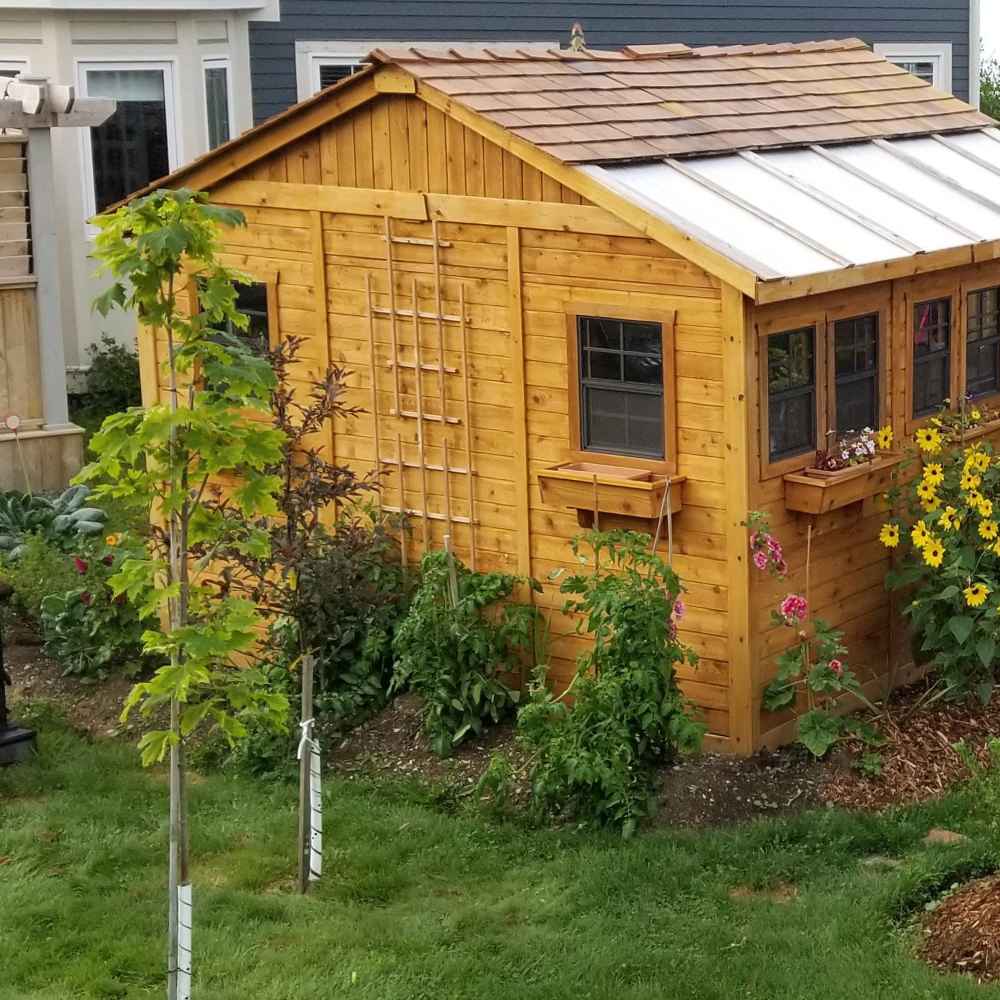 Surrounded by lush plants and sunflowers, the Outdoor Living Today 12×12 Sunshed Garden Shed stands with a sunny yellow-brown wood finish and clear roof panels