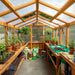 Tidy workspace with tools, soil bags, and plants shows the inside of the 8x12 Outdoor Living Today Western Red Cedar Greenhouse Kit