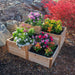 Tiered cedar planter filled with colorful flowers sits among rocks, featuring the Outdoor Living Today 3.5×4 Tiered Cedar Corner Raised Garden Bed at the center