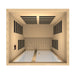 Top-down view inside Golden Designs Dynamic Santiago 2 Person Low EMF Far Infrared Sauna showing carbon panels on the walls and a light wood floor