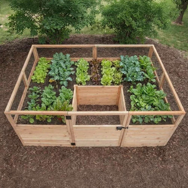 Top-down view of Outdoor Living Today 8×5 Raised Garden Bed shows neatly arranged vegetables and a small open center walkway