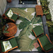 Top-down view of Couristan Dolce Indoor/Outdoor Rug - Palm Lily/Hunter Green-Ivory in a garden patio setting surrounded by wooden furniture and greenery