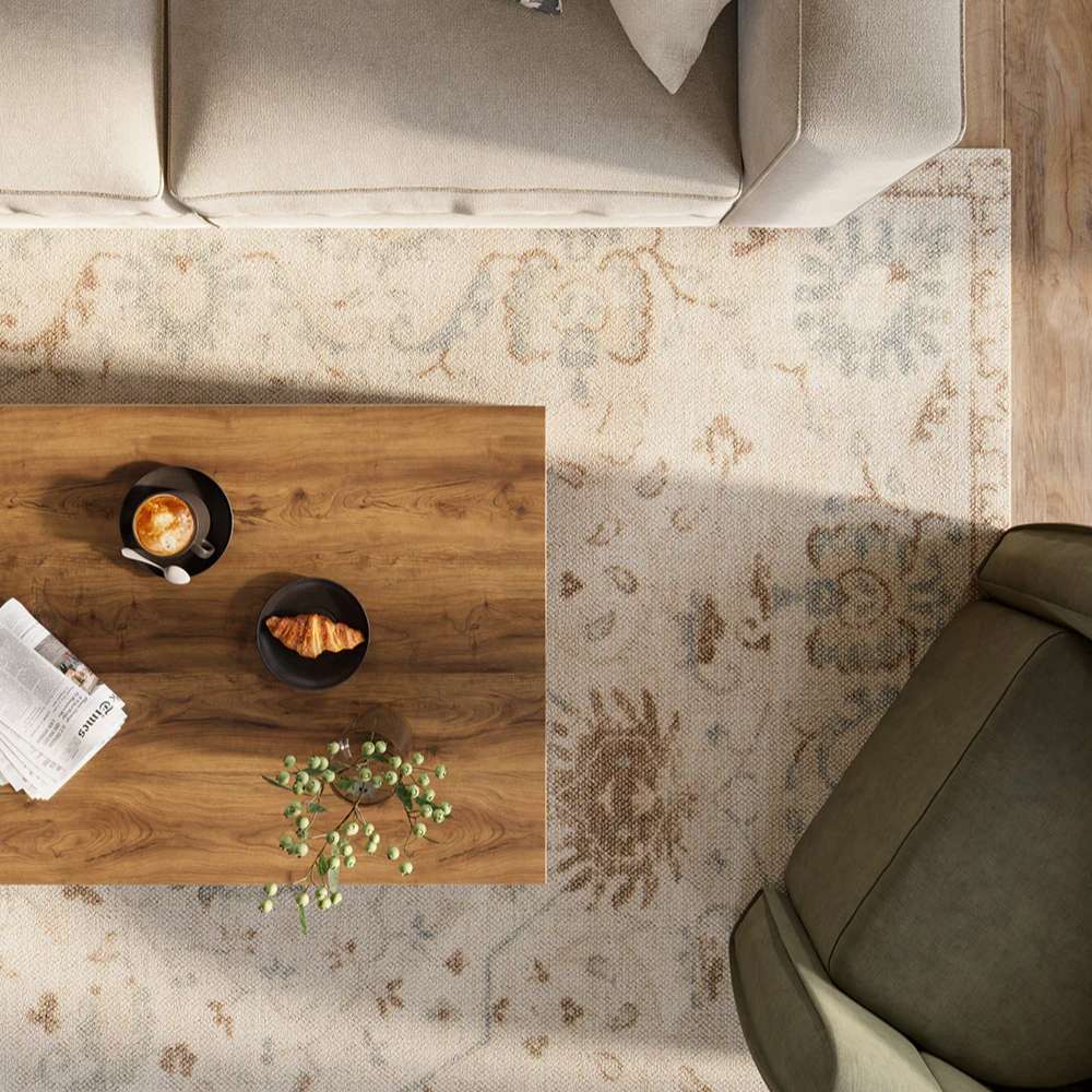 Top-down view of a coffee table and armchair over Momeni Anatolia Indoor Rug - ANA-5 Beige