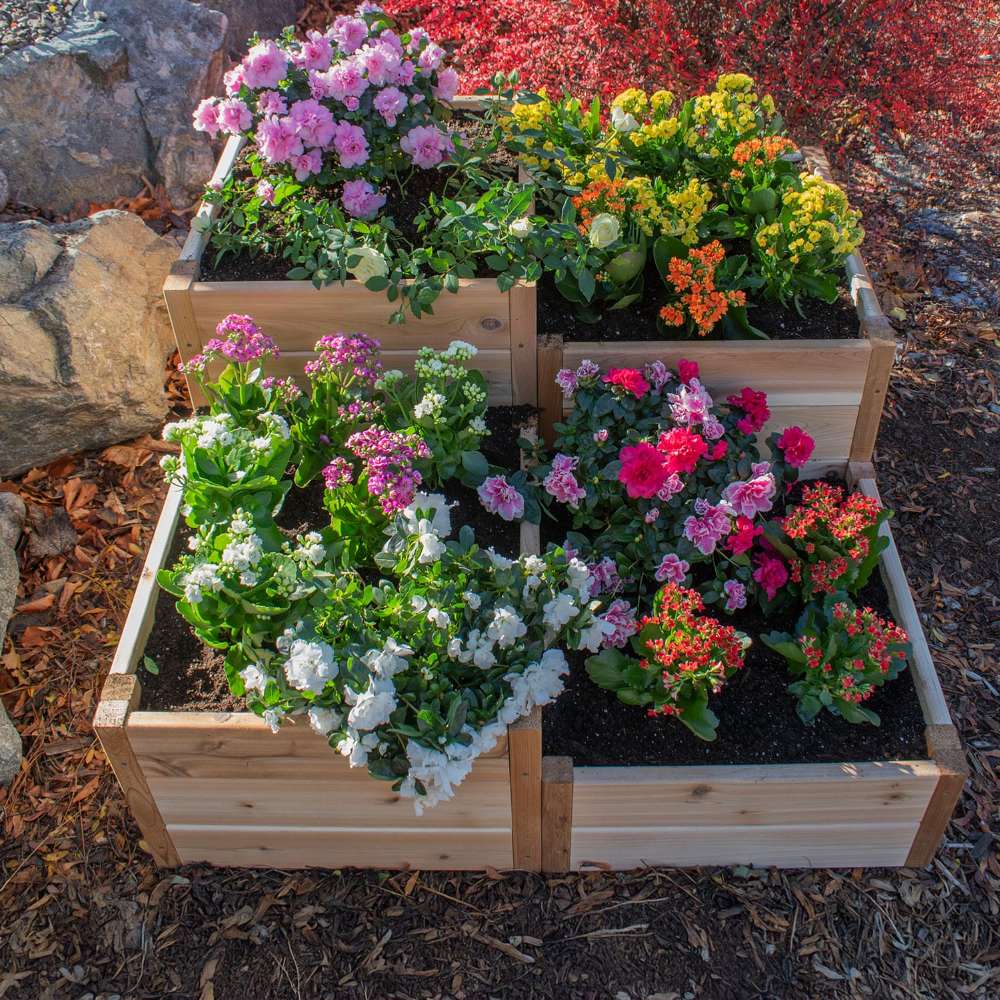 Top view of colorful plants centered around the Outdoor Living Today 3.5×4 Tiered Cedar Corner Raised Garden Bed
