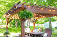 Wooden Brookside Timber Frame Fern Shade Pergola stands over a patio dining set, decorated with hanging ferns and warm string lights in a sunny backyard