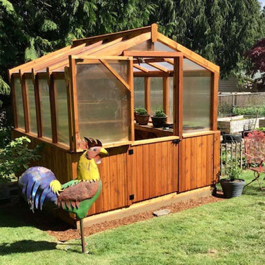 Wooden greenhouse in a backyard with a colorful rooster statue features the 8x8 Outdoor Living Today Western Red Cedar Greenhouse Kit
