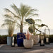 Crate & Barrel Dune Outdoor Lantern large size vertical styling for garden or patio